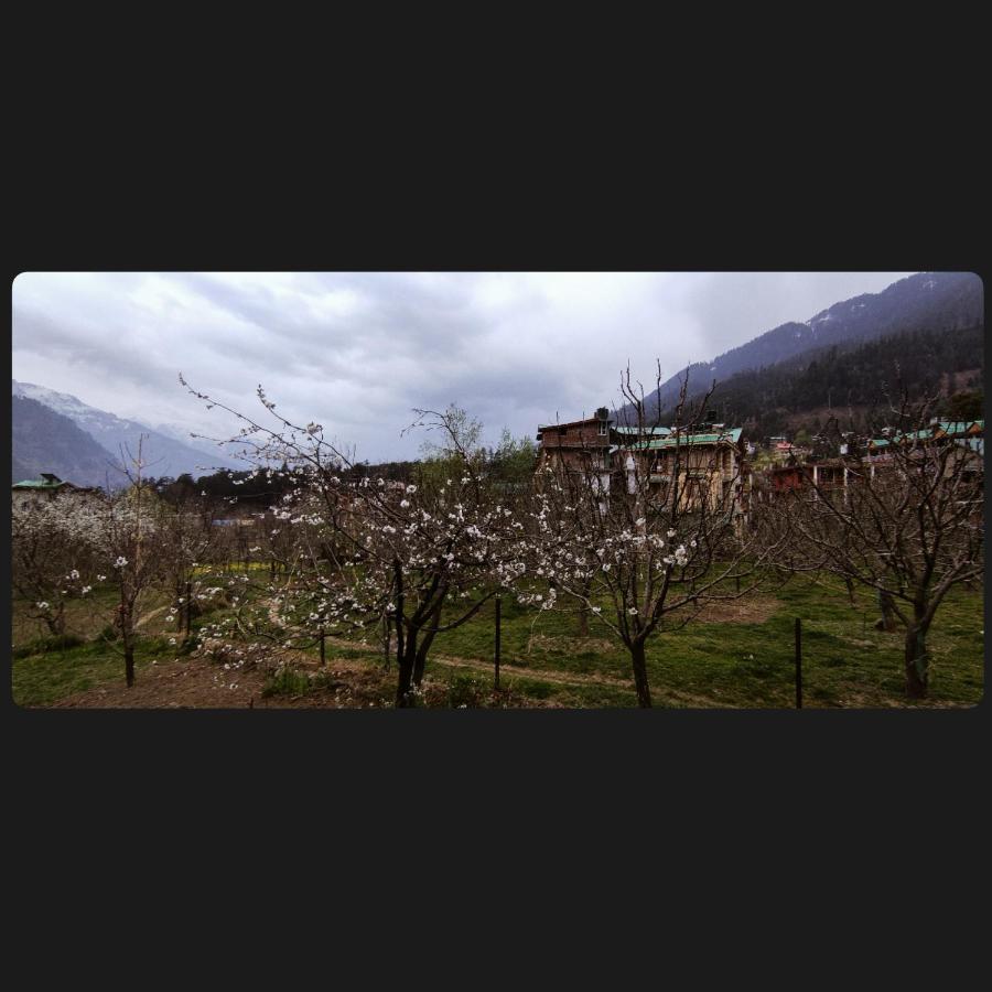 הוסטל Yolo Backpackers - Manali מראה חיצוני תמונה
